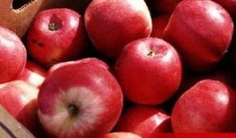 娱乐吃瓜酱苹果自带滤镜,娱乐吃瓜酱带你领略滤镜魔法魅力